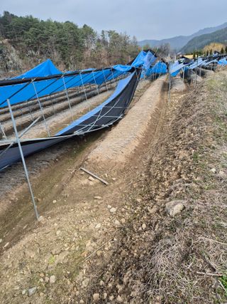 노나라138님의 기타작물 · 영농일지 작성글 사진