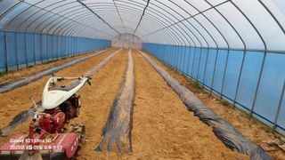 석희님의 고추 · 영농일지 작성글 사진