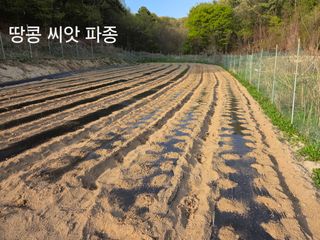 장두학님의 기타작물 · 영농일지 작성글 사진