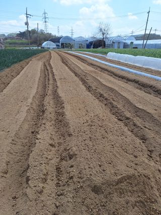 마늘25328님의 기타작물 · 영농일지 작성글 사진