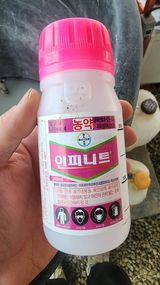 팜모닝 오이·영농일지 게시글 이미지