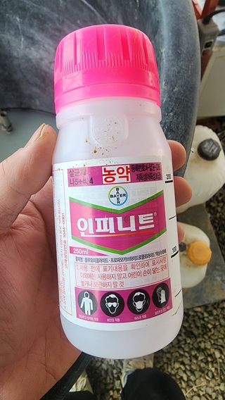 준우아빠님의 오이 · 영농일지 작성글 사진