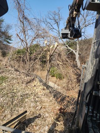 이붕우님의 기타작물 · 영농일지 작성글 사진