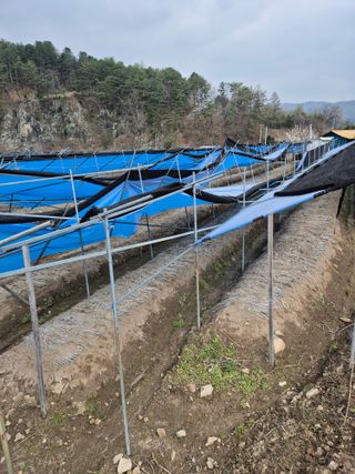 노나라138님의 기타작물 · 영농일지 작성글 사진