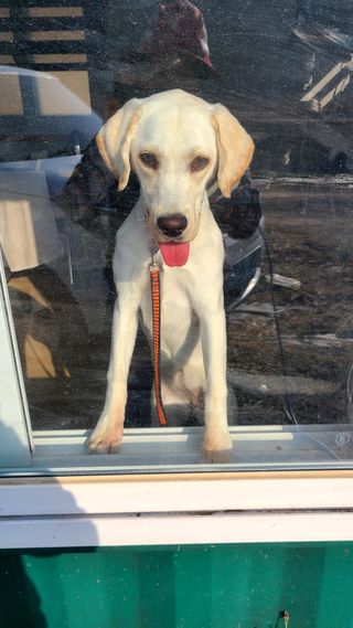 김지연님의 기타작물 · 영농일지 작성글 사진