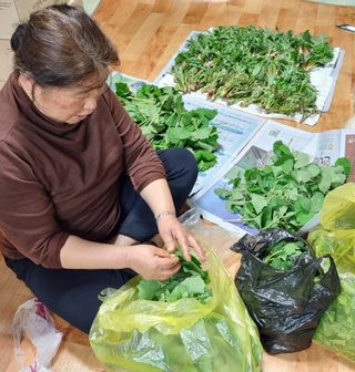 권혁렬님의 기타작물 · 영농일지 작성글 사진