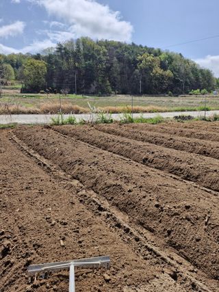 백운농원 님의 기타작물 · 영농일지 작성글 사진