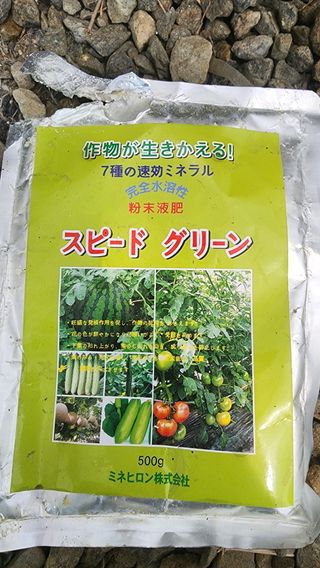 준우아빠님의 오이 · 영농일지 작성글 사진