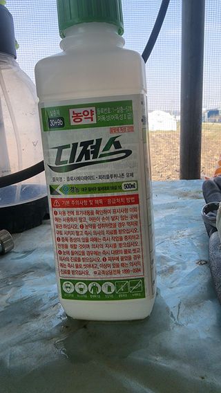 준우아빠님의 오이 · 영농일지 작성글 사진