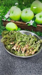 팜모닝 기타작물·영농일지 게시글 이미지