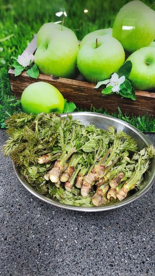 호두마루님의 기타작물 · 영농일지 작성글 사진