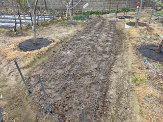 나선기님의 기타작물 · 영농일지 작성글 사진