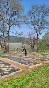 팜모닝 기타작물·영농일지 게시글 이미지