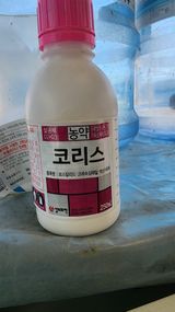 팜모닝 오이·영농일지 게시글 이미지