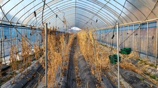 김지연님의 기타작물 · 영농일지 작성글 사진