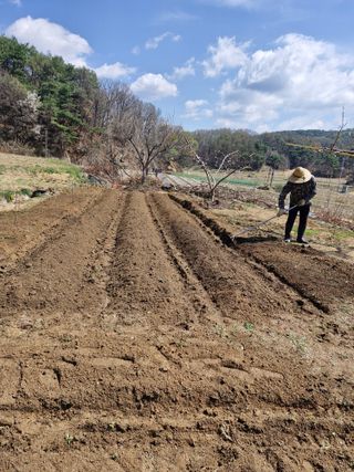 백운농원 님의 기타작물 · 영농일지 작성글 사진
