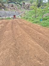 팜모닝 고추·영농일지 게시글 이미지