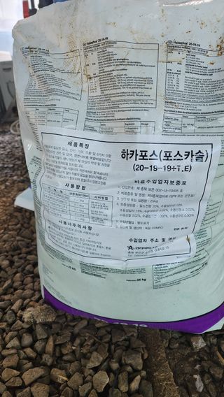 준우아빠님의 오이 · 영농일지 작성글 사진