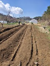 팜모닝 기타작물·영농일지 게시글 이미지