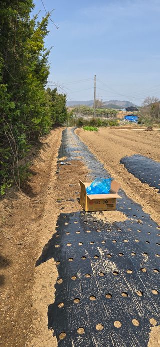 행복한농민님의 기타작물 · 영농일지 작성글 사진