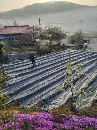 이상욱님의 기타작물 · 영농일지 작성글 사진