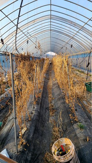 김지연님의 기타작물 · 영농일지 작성글 사진