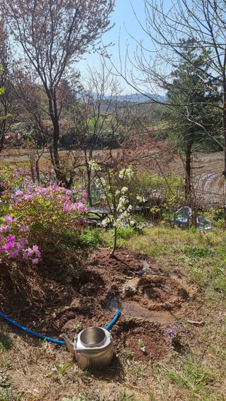 권혁렬님의 기타작물 · 영농일지 작성글 사진