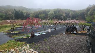 호두마루님의 기타작물 · 영농일지 작성글 사진