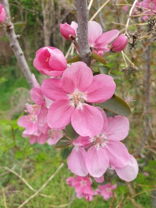 김윤숙님의 기타작물 · 영농일지 작성글 사진