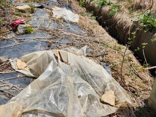 꿀복이농장님의 기타작물 · 영농일지 작성글 사진