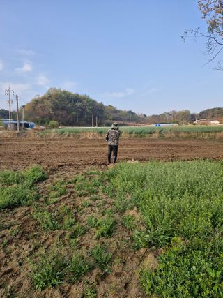 백운농원 님의 기타작물 · 영농일지 작성글 사진