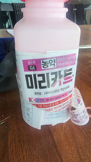 준우아빠님의 오이 · 영농일지 작성글 사진