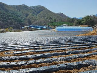 이석민님의 기타작물 · 영농일지 작성글 사진