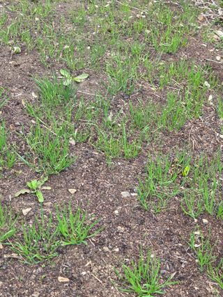 오현백님의 기타작물 · 영농일지 작성글 사진