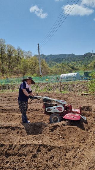 의성촌놈님의 기타작물 · 영농일지 작성글 사진