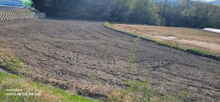 초보농부님의 벼 · 영농일지 작성글 사진