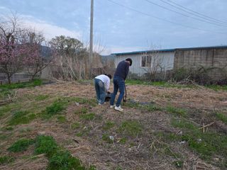 이종애님의 기타작물 · 영농일지 작성글 사진