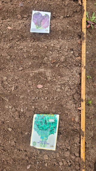 김영규님의 기타작물 · 영농일지 작성글 사진