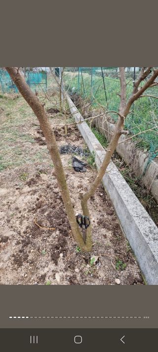 새의눈님의 기타작물 · 영농일지 작성글 사진