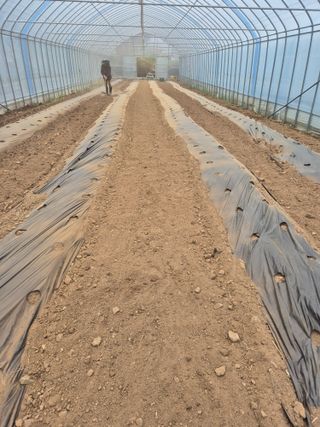 왕자농원님의 기타작물 · 영농일지 작성글 사진