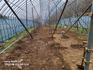 마늘22006님의 사과 · 영농일지 작성글 사진