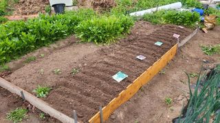 김영규님의 기타작물 · 영농일지 작성글 사진