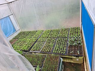 구본명님의 참깨 · 영농일지 작성글 사진