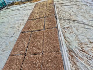 박명철님의 기타작물 · 영농일지 작성글 사진