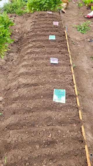 김영규님의 기타작물 · 영농일지 작성글 사진