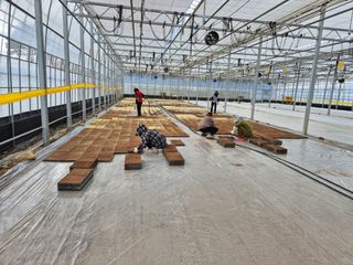 박명철님의 기타작물 · 영농일지 작성글 사진