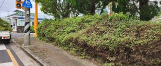 김형철님의 기타작물 · 영농일지 작성글 사진