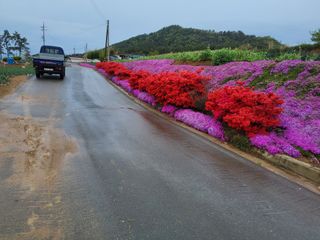 정해원.님의 기타작물 · 영농일지 작성글 사진