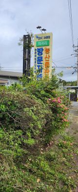 팜모닝 기타작물·영농일지 게시글 이미지