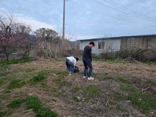 이종애님의 기타작물 · 영농일지 작성글 사진